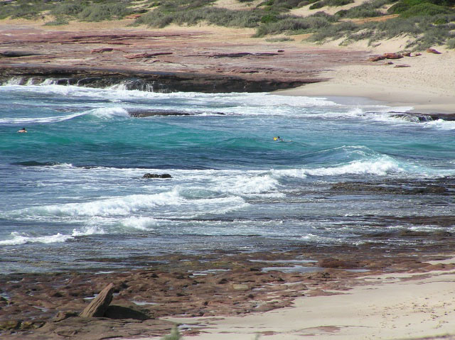 Typical WA coastline